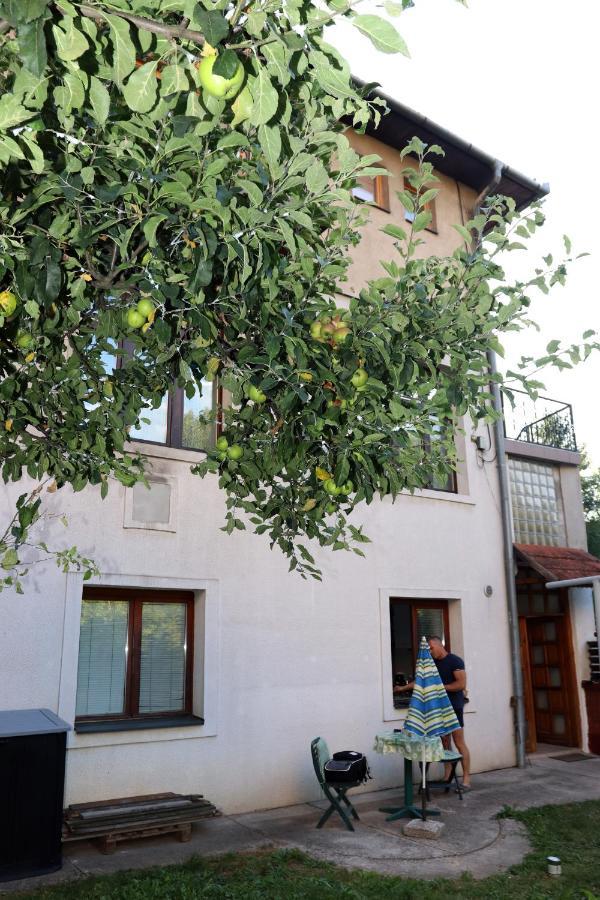 Vila Rijad Sarajevo Exterior photo